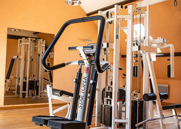 Отель Logis Borel Дюнкерк