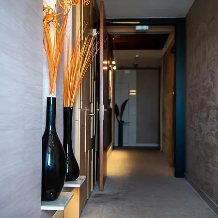 Logis Borel Hotel 4*