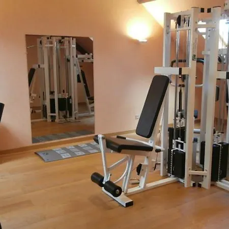 Hotel Logis Borel 4*