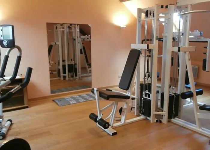 Hotel Logis Borel 4*