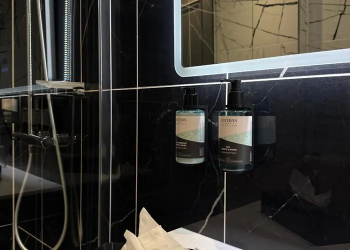 Logis Borel 4* Dunkirk